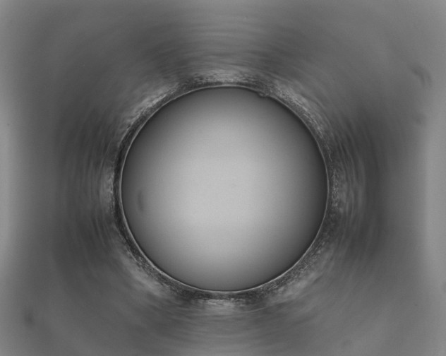 X0000112050394200908111354