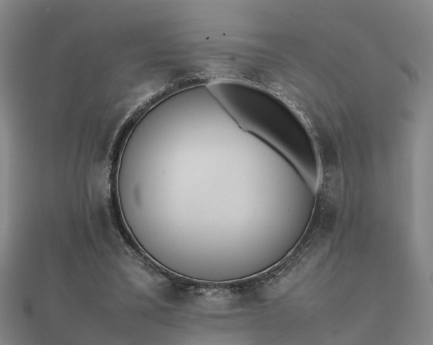 X0000112050395200908111354