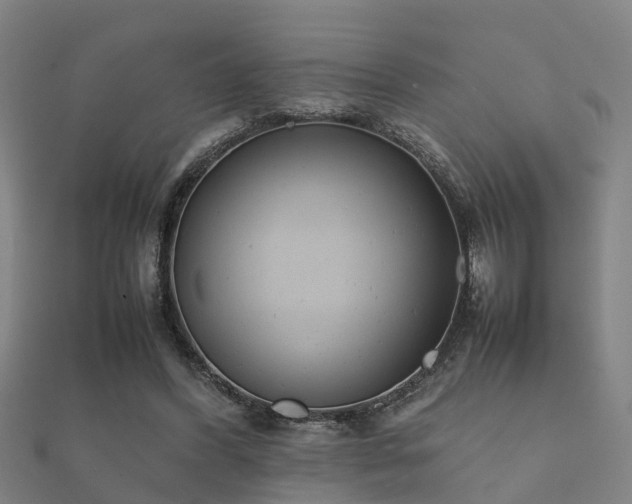 X0000112050396200908111354