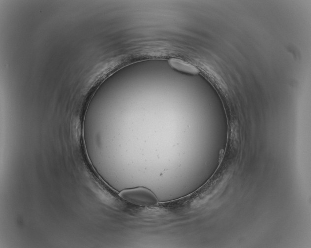 X0000112050397200908111354