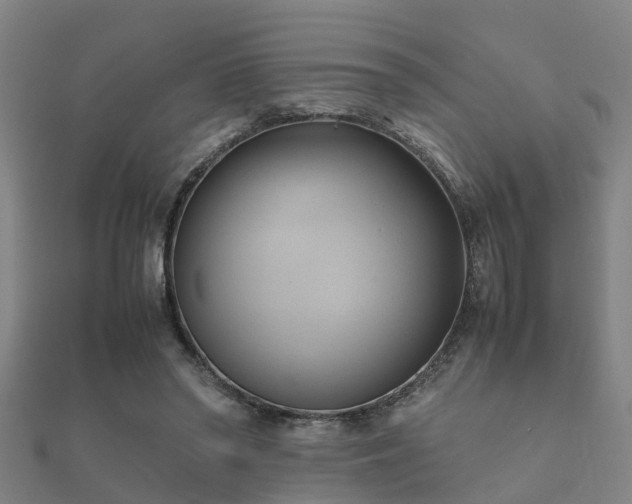 X0000112050398200908111354