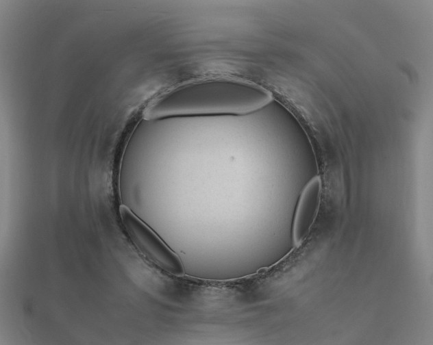 X0000112050399200908111354