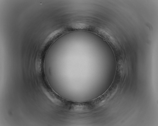 X0000112050400200908111354