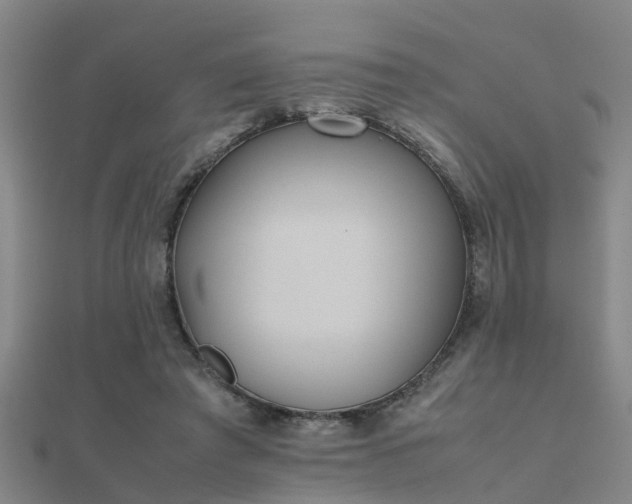 X0000112050401200908111354