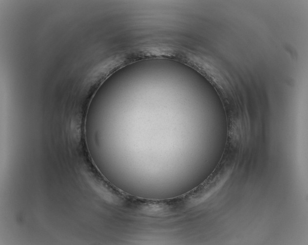 X0000112050402200908111354