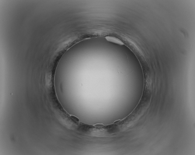 X0000112050403200908111354