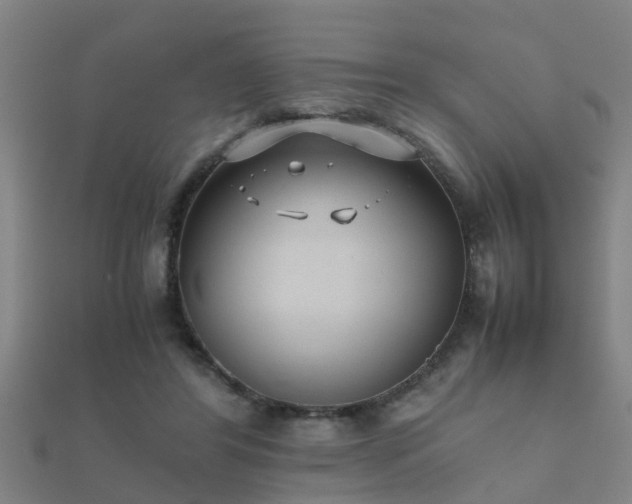 X0000112050404200908111354