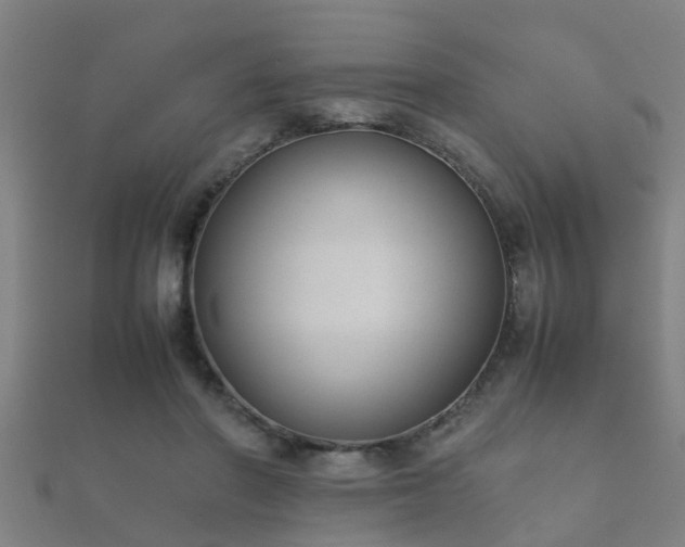 X0000112050406200908111354