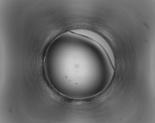 X0000112050407200908111354