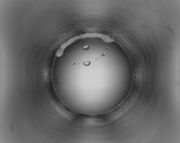 X0000112050408200908111354