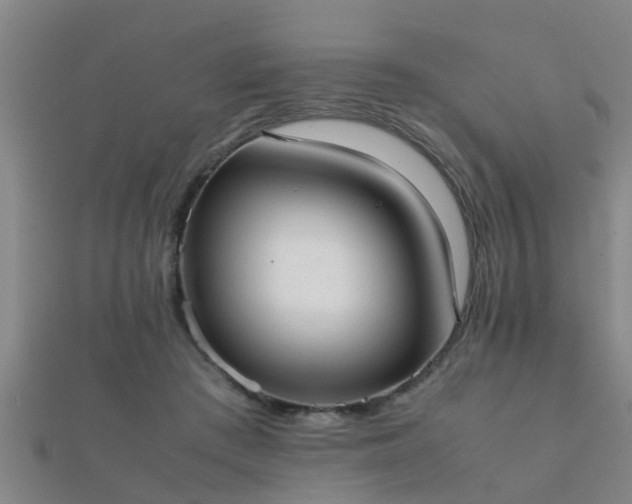 X0000112050409200908111354