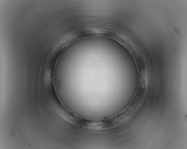 X0000112050410200908111354