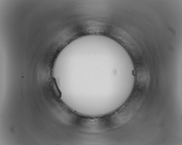 X0000112050411200908111354