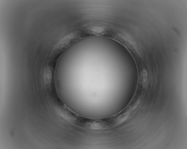 X0000112050412200908111354