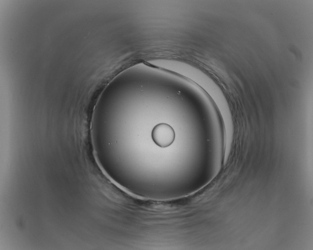 X0000112050413200908111354