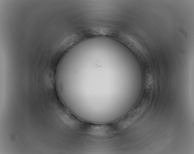 X0000112050414200908111354