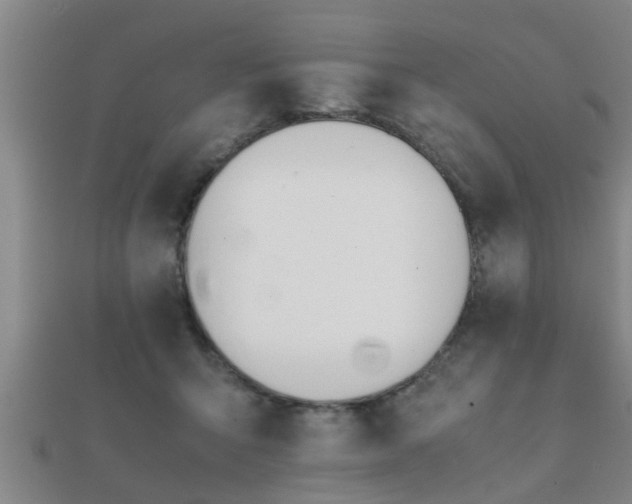 X0000112050415200908111354