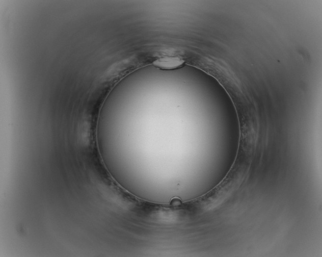 X0000112050416200908111354