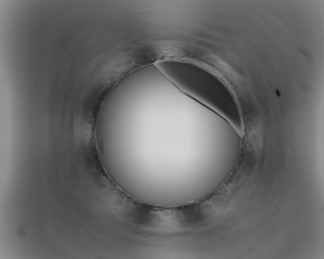 X0000112050417200908111354