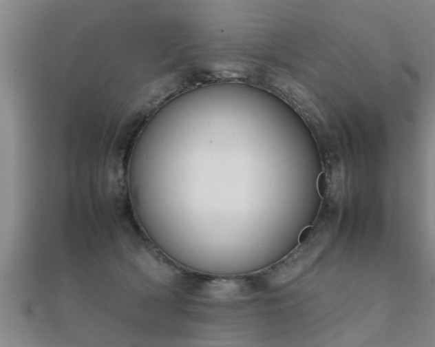 X0000112050418200908111354