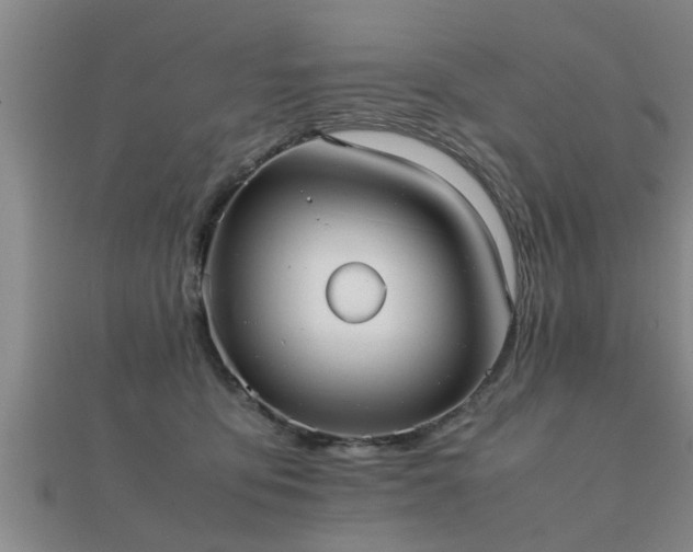 X0000112050419200908111354