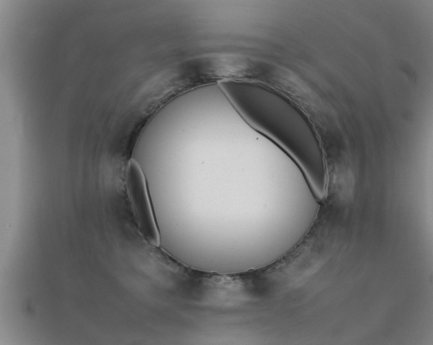 X0000112050421200908111354