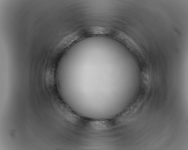 X0000112050422200908111354