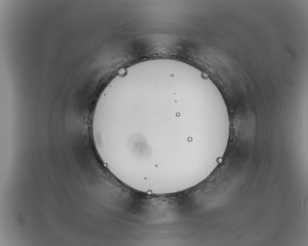 X0000112050423200908111354