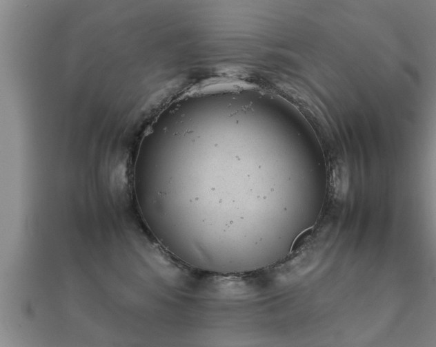 X0000112050424200908111354