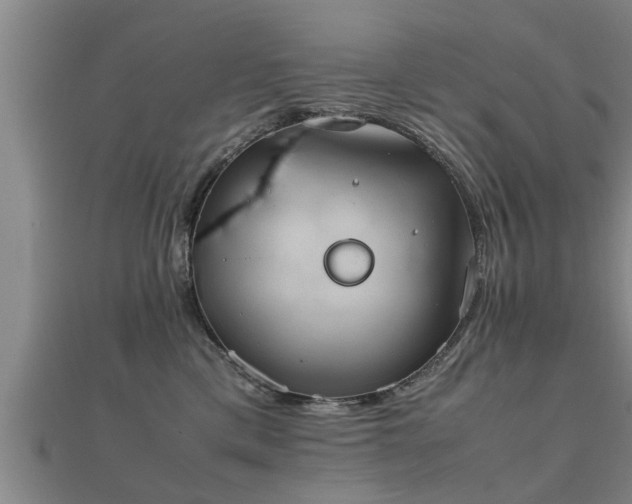 X0000112050425200908111354