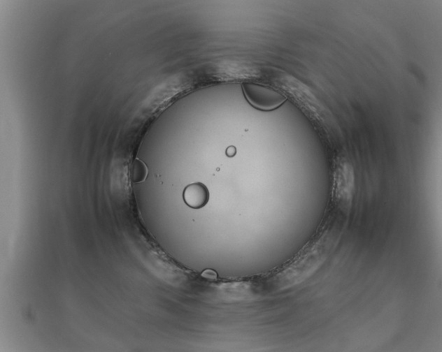 X0000112050426200908111354