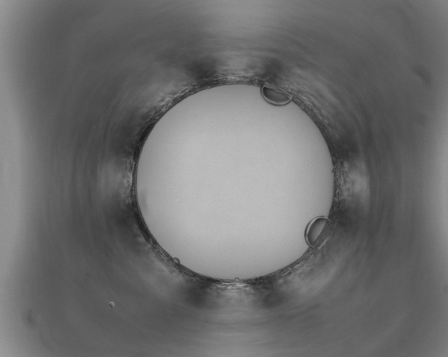 X0000112050427200908111354