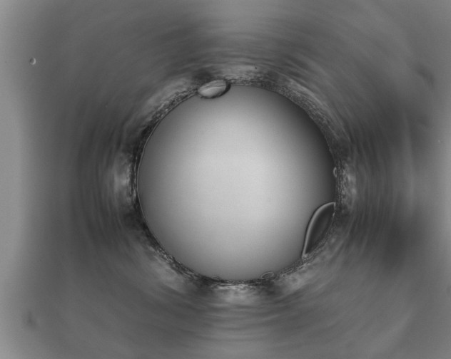 X0000112050428200908111354