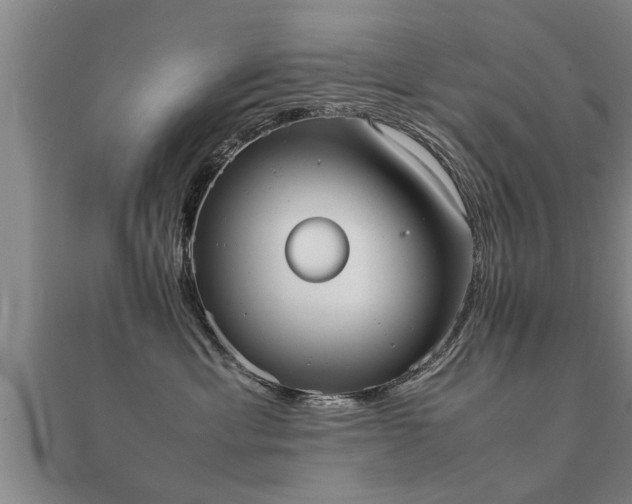 X0000112050429200908111354