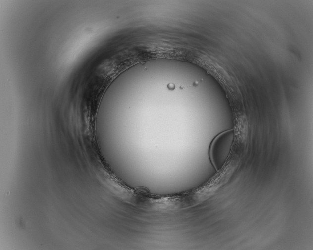 X0000112050430200908111354