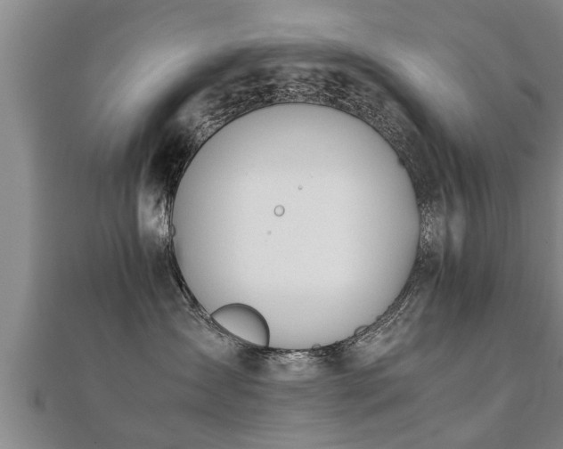 X0000112050431200908111354