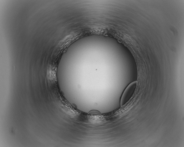 X0000112050432200908111354