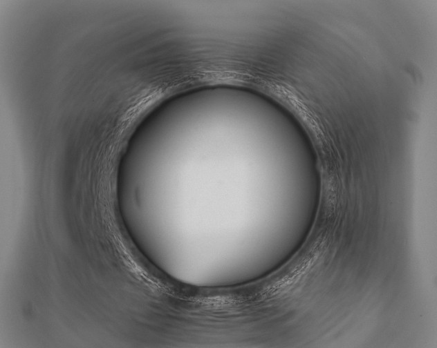 X0000112050433200908111353