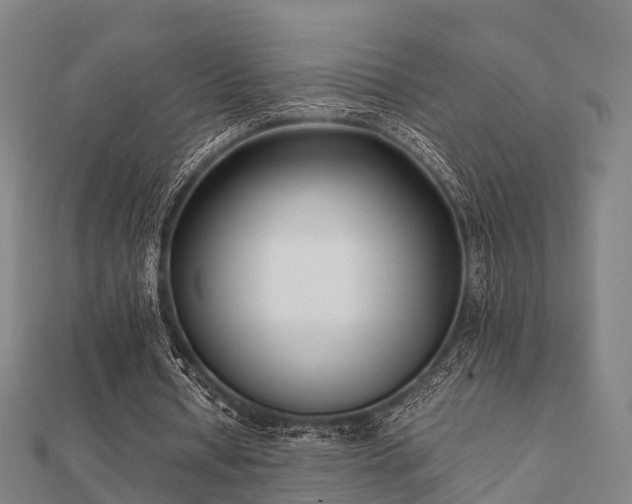 X0000112050434200908111353