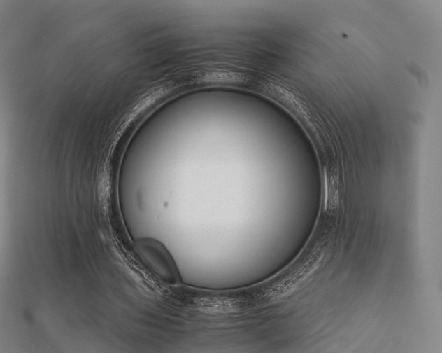 X0000112050435200908111353