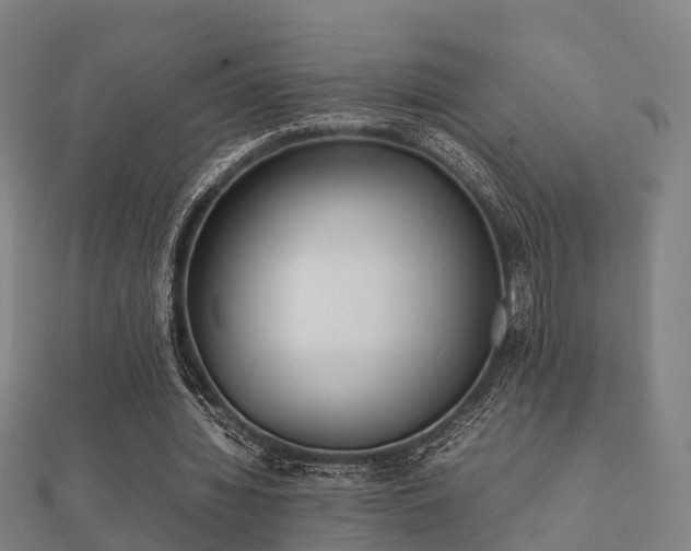 X0000112050436200908111353