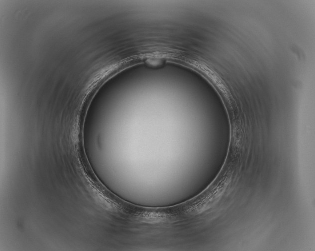 X0000112050437200908111353