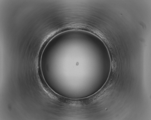 X0000112050438200908111353