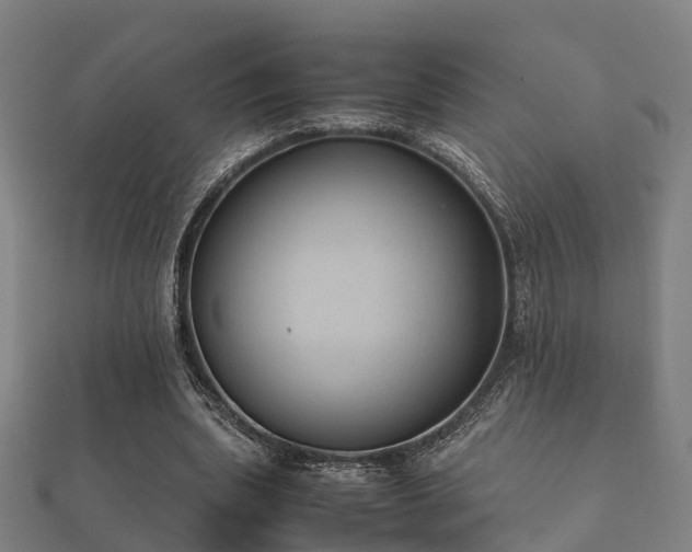 X0000112050439200908111353