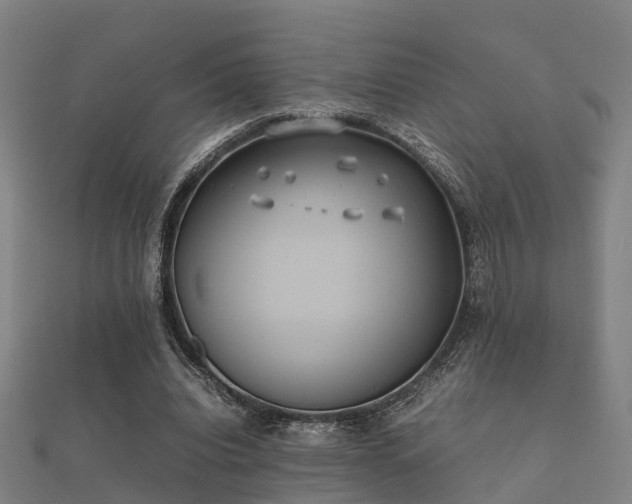 X0000112050440200908111353