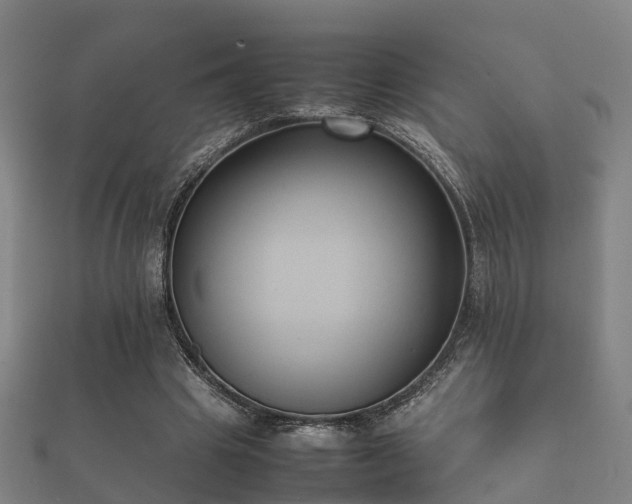 X0000112050441200908111353