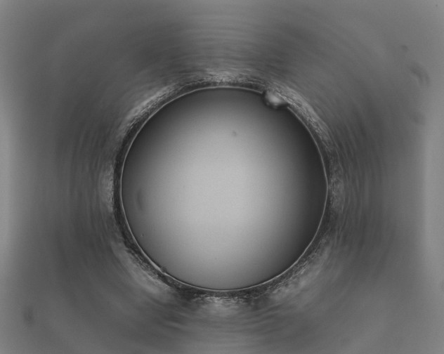 X0000112050442200908111353