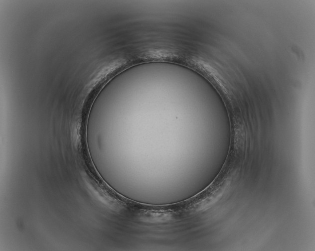 X0000112050443200908111353