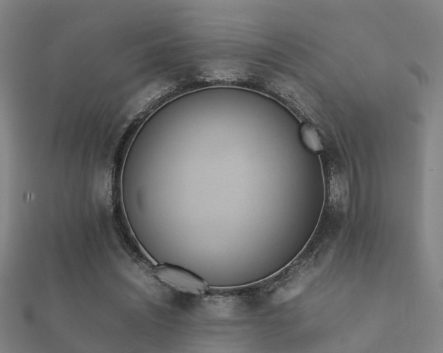 X0000112050444200908111353