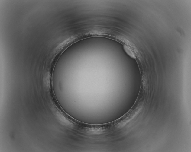 X0000112050445200908111353